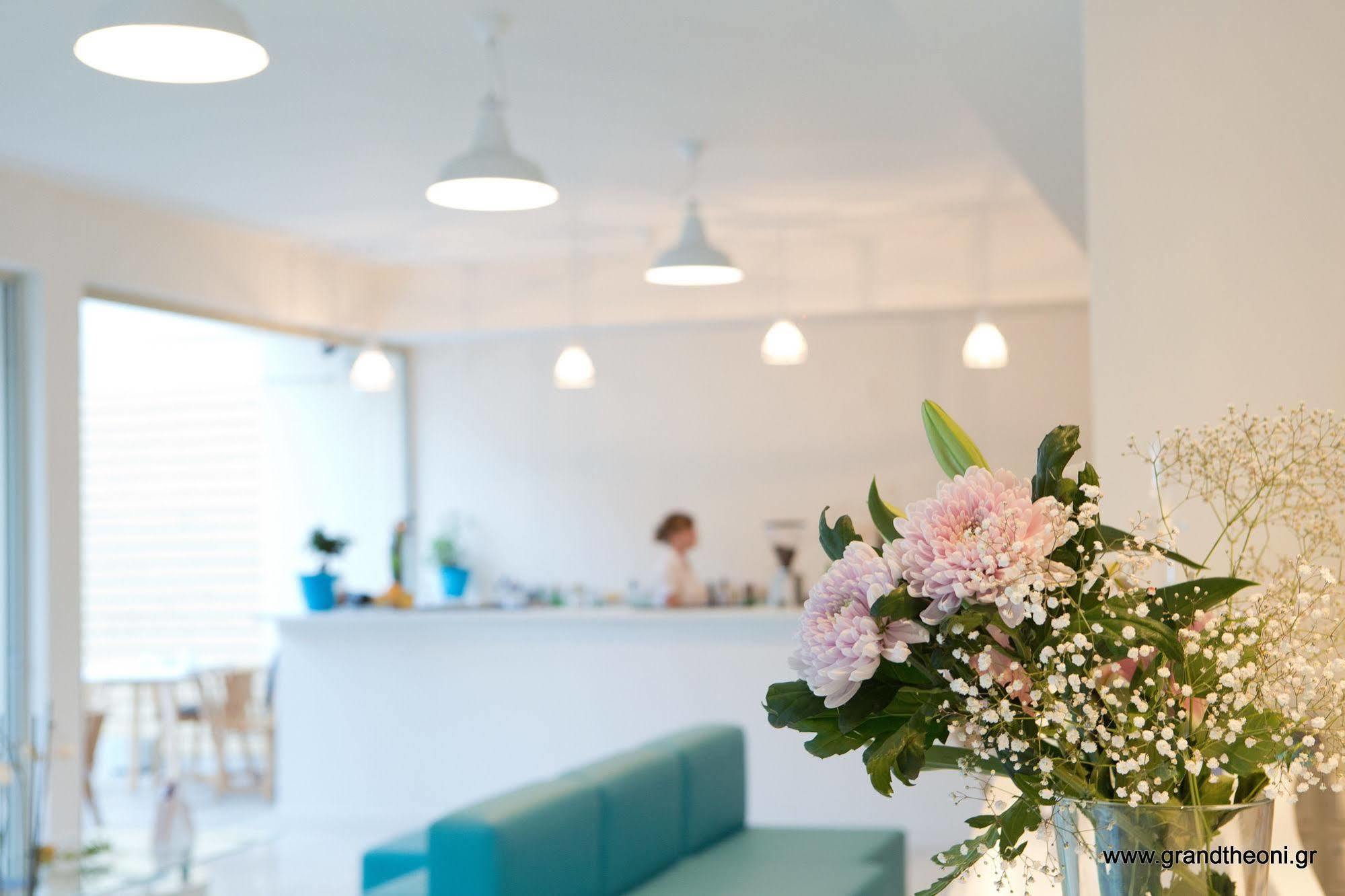Grand Theoni Boutique Hotel & Spa Vasiliki Dış mekan fotoğraf